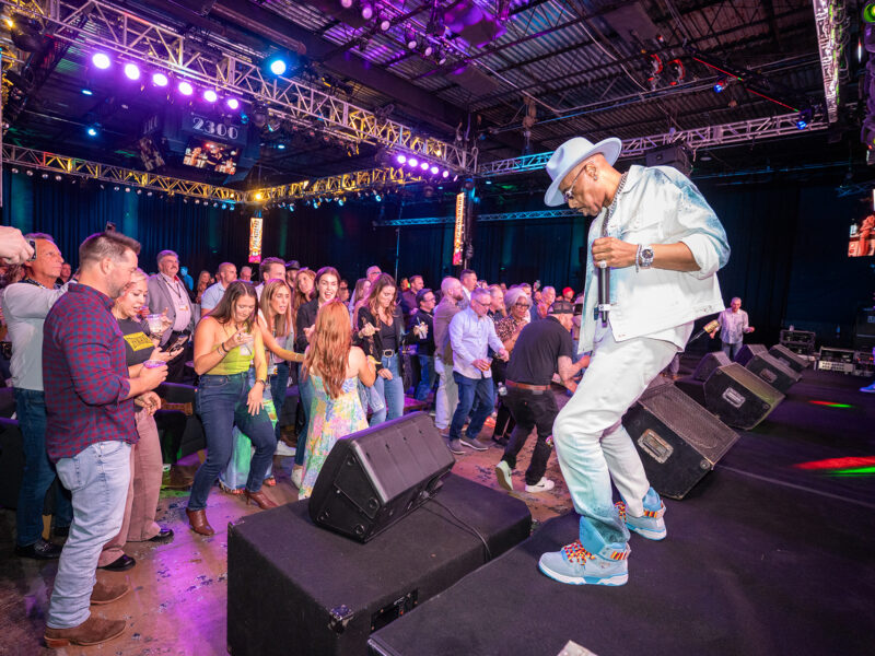 2025 // Springboard Bash