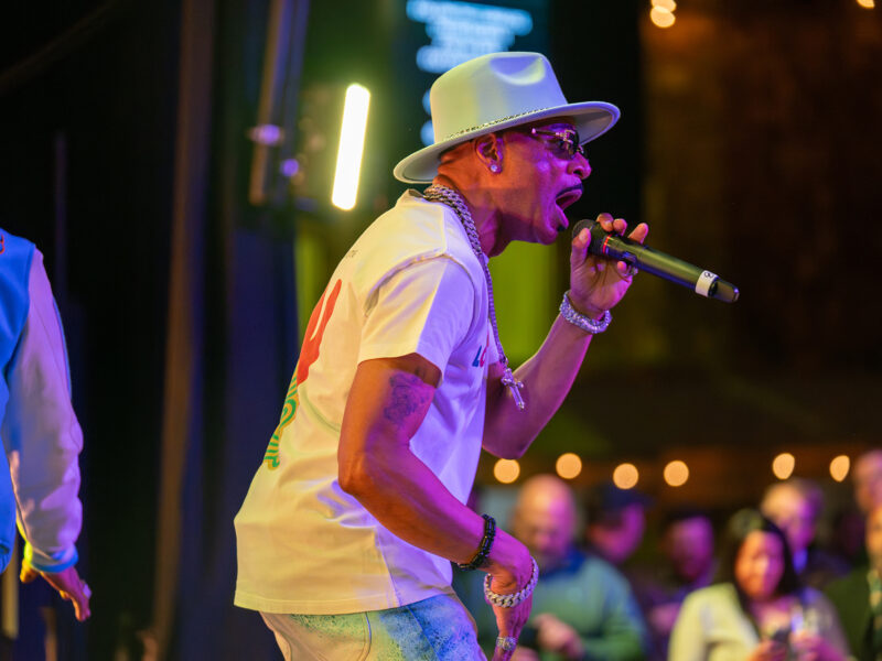 2025 // Springboard Bash