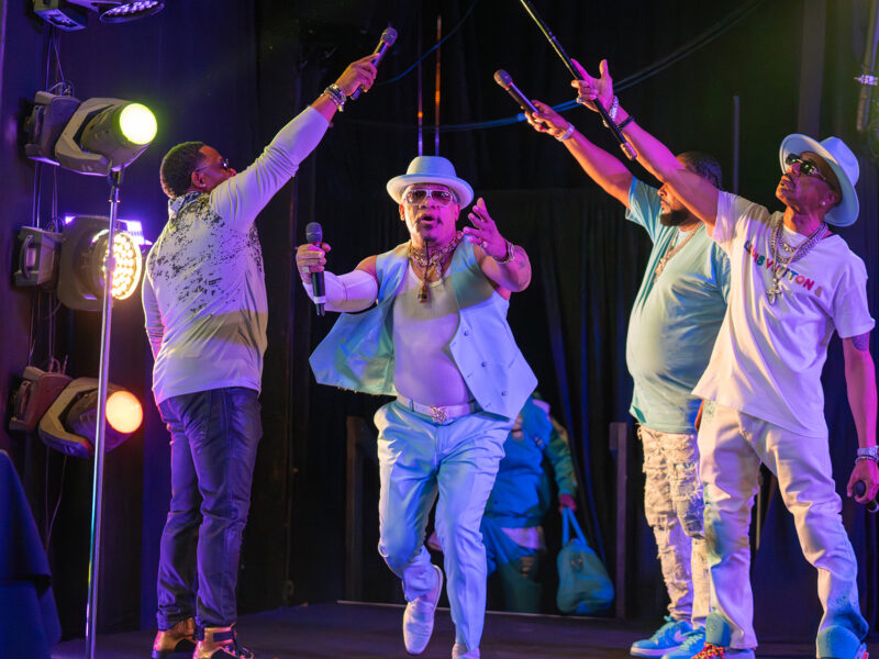 2025 // Springboard Bash